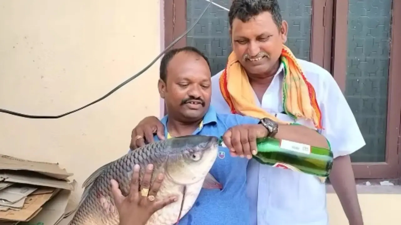 Watch | Man forces fish to drink beer, Internet expresses outrage over ‘animal abuse’