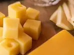 Donkey milk or dog milk? 16th century British revered cheese, and this quirky textbook is proof