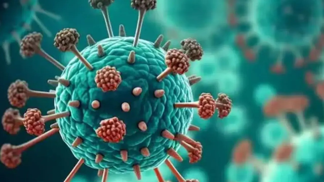 India: Gujarat reports second HMPV patient, an 80-year-old man India: Gujarat reports second HMPV patient, an 80-year-old man