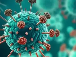 Rare human coronavirus detected in Kolkata woman: What is HKU1, and how does it spread?