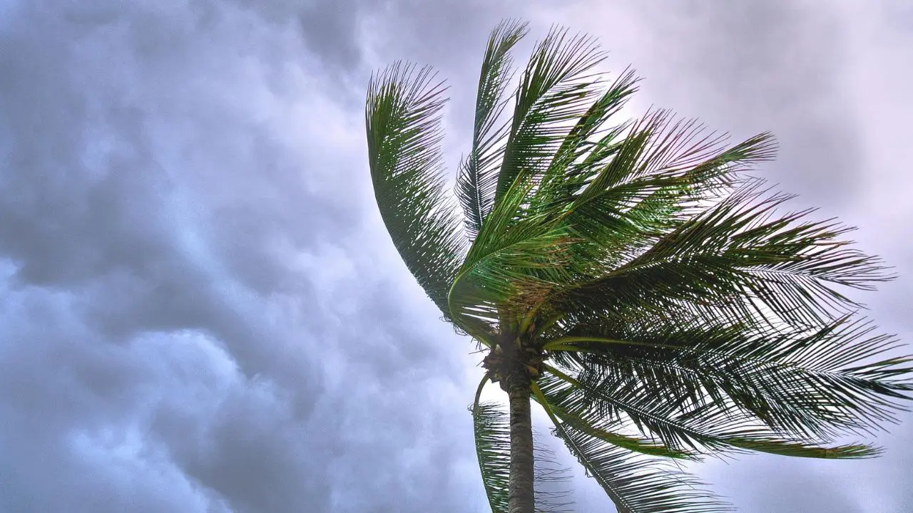 Millions warned of imminent danger as Storm Eowyn set to batter UK Millions warned of imminent danger as Storm Eowyn set to batter UK