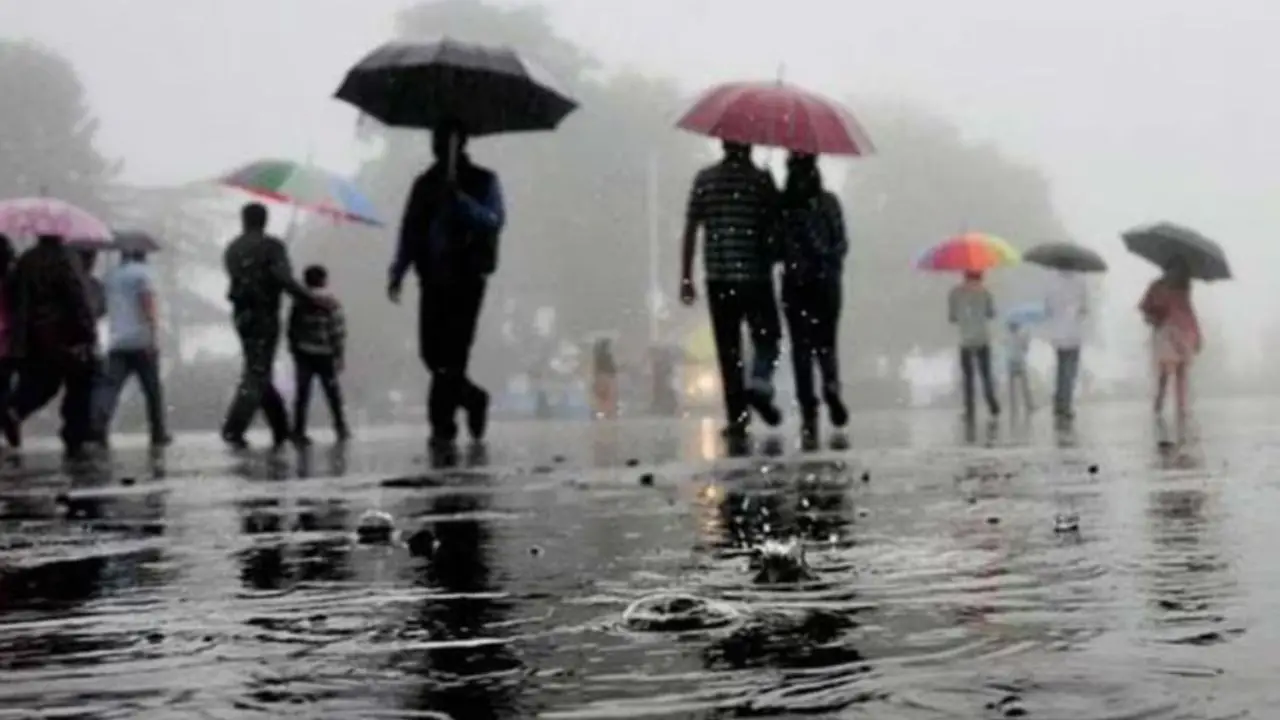 Light rainfall brings relief to Delhi after warmest February night in 74 years Light rainfall brings relief to Delhi after warmest February night in 74 years