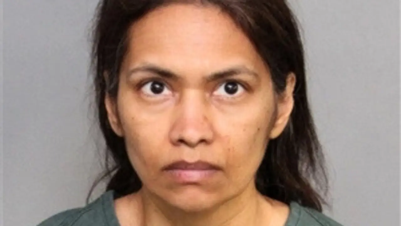 Indian-origin woman kills son on Disneyland trip amid custody battle Indian-origin woman kills son on Disneyland trip amid custody battle