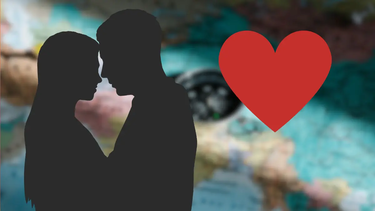 Indian man crosses into Pakistan border to meet online lover, arrested Indian man crosses into Pakistan border to meet online lover, arrested