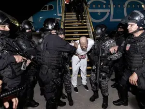 WATCH | Trump administration deports over 250 'gang members' despite judge's ruling to halt it