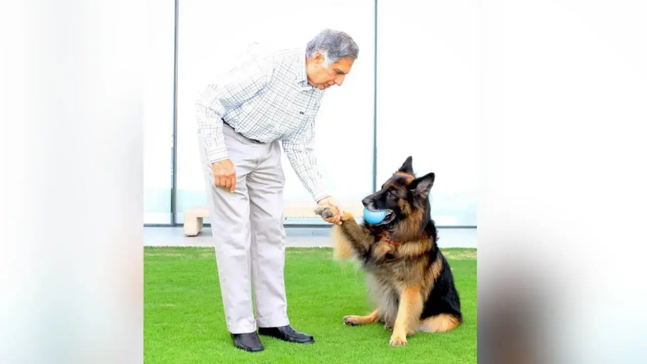 How much did Ratan Tata leave for his pets in his $443 million will? How much did Ratan Tata leave for his pets in his $443 million will?