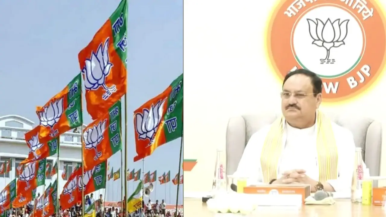 BJP to reveal Delhi chief minister's name today after landmark victory