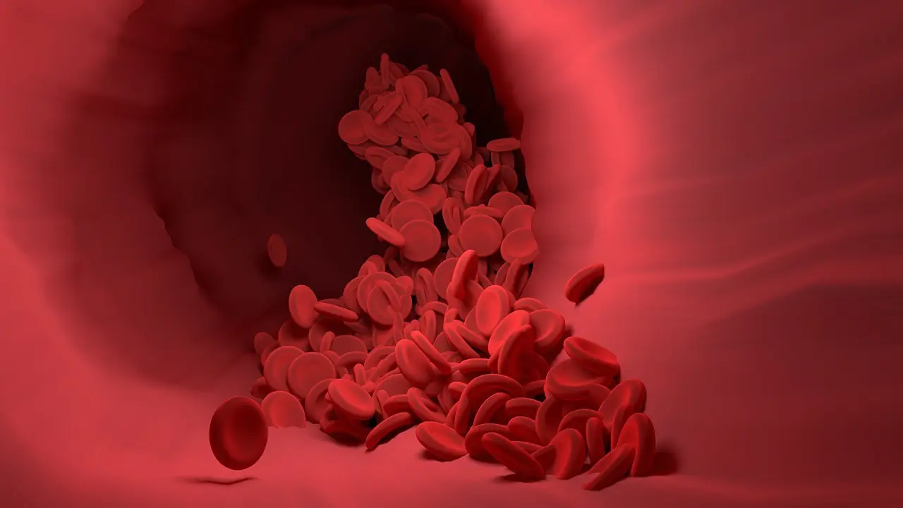 People with THIS blood group might stay younger for longer People with THIS blood group might stay younger for longer
