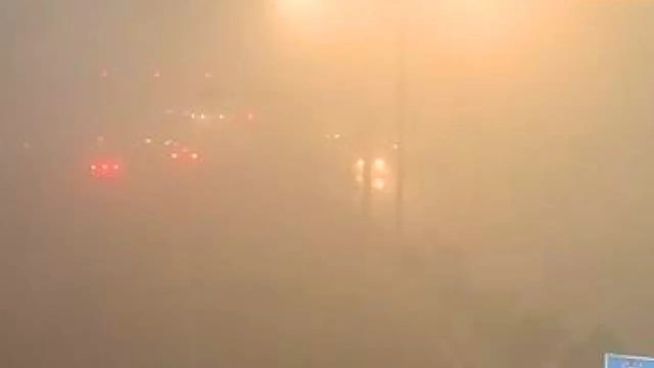 India: Delhi's dense fog impacts visibility and flight services