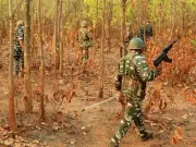 India: At least 12 Naxalites killed in Chhattisgarh encounter with security forces