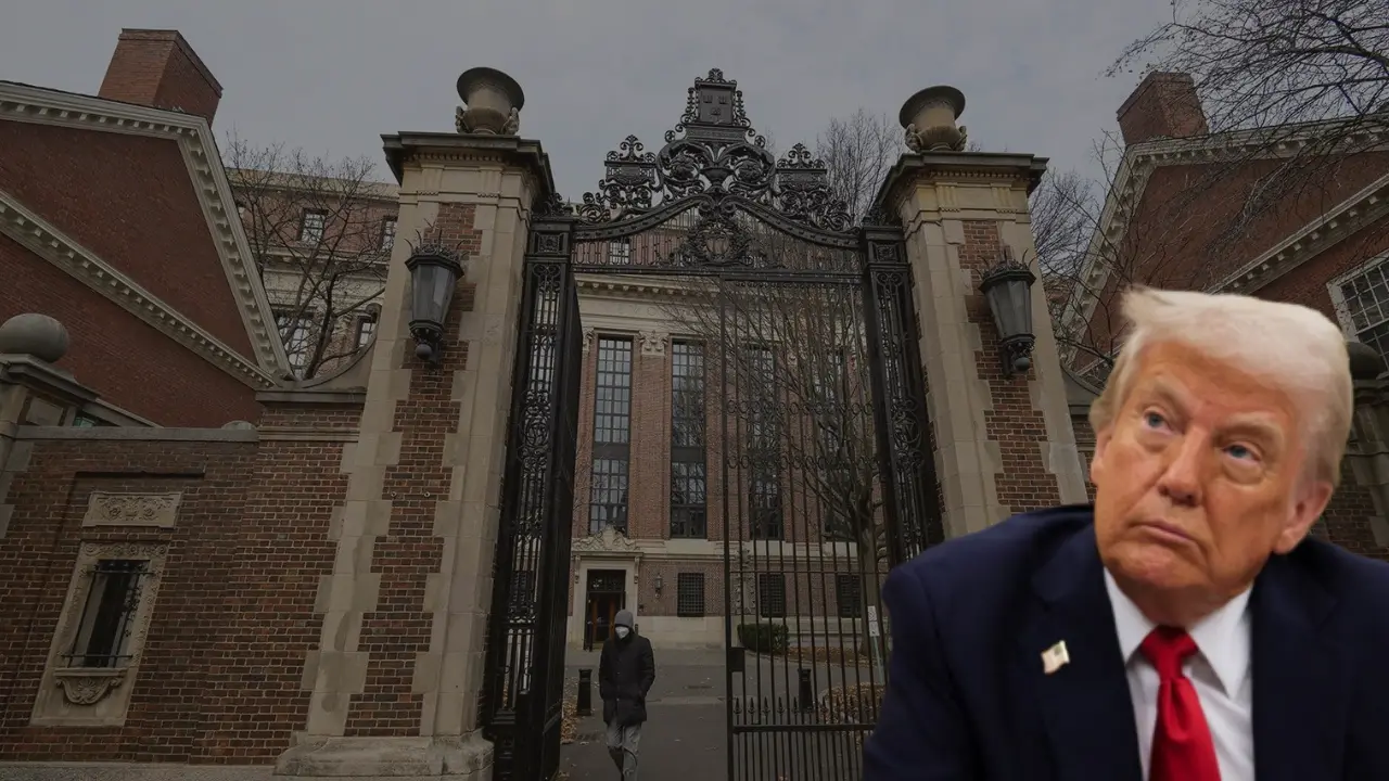 Did Trump vs Harvard row begin due to a 'mistake'? White House official reveals Did Trump vs Harvard row begin due to a 'mistake'? White House official reveals