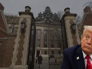 'Harvard is a JOKE': Trump slams Ivy League for hiring 'birdbrains' and 'Leftist dopes', warns to cut federal funds