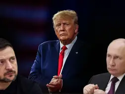 Russia-Ukraine ceasefire soon? Trump to dial Putin and Zelensky | Subject of conversation - 'STOP THE BLOODBATH'