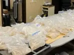 US authorities nab Indian national smuggling 170 pounds of ecstasy from Canada