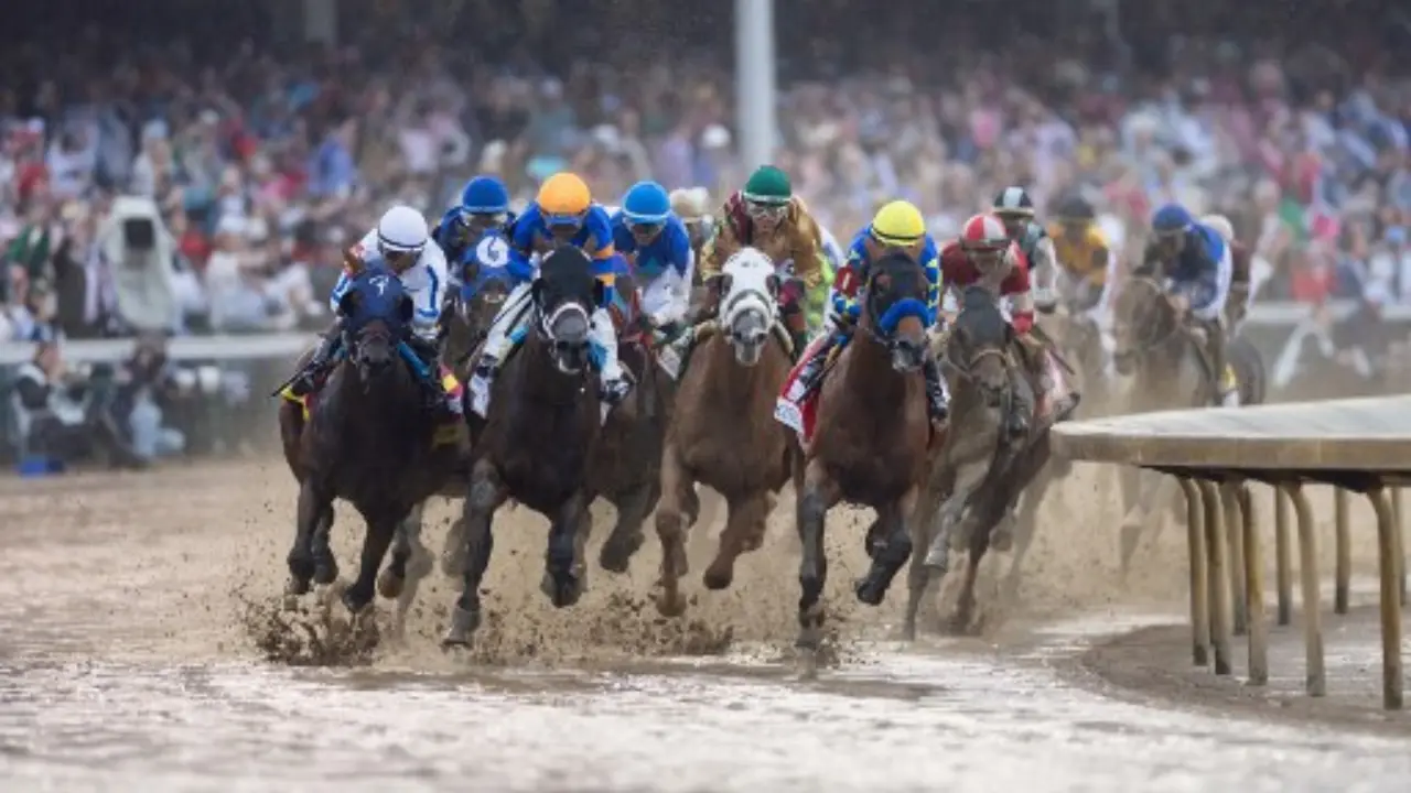 Sovereignty beats Journalism in 151st Kentucky Derby during final stretch Sovereignty beats Journalism in 151st Kentucky Derby during final stretch