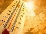 ‘Hottest February in 125 years’: Parts of India face early heatwaves threatening economy and lives