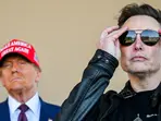 ‘Best place to hide a body’: Elon Musk, Donald Trump mock The Atlantic over embarrassing war plans leak