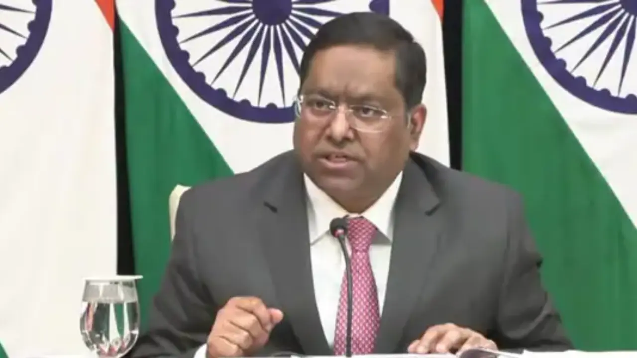 'Will bring them back': India responds after US launches crackdown on illegal immigrants 'Will bring them back': India responds after US launches crackdown on illegal immigrants
