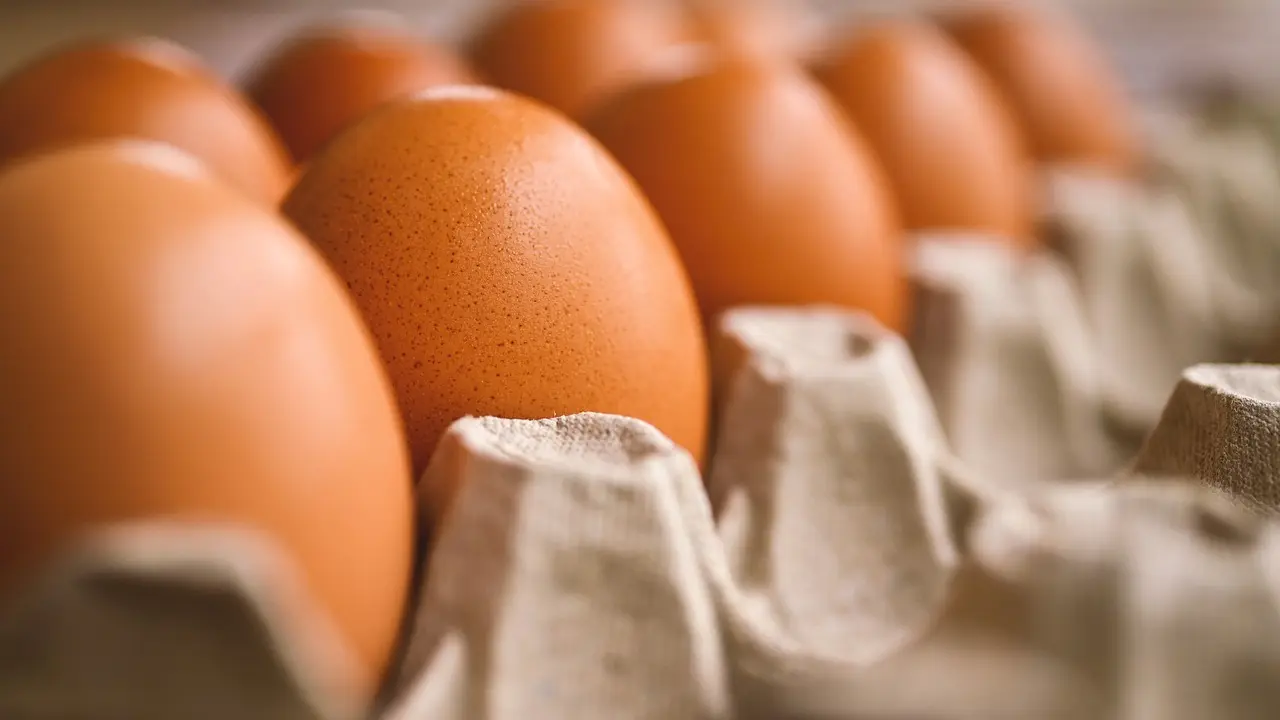 Americans smuggling eggs from Mexico, here’s why it is concerning Americans smuggling eggs from Mexico, here’s why it is concerning