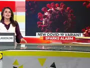 New Covid-19 variant sparks alarm | What is the JN 1 variant causing the spike?