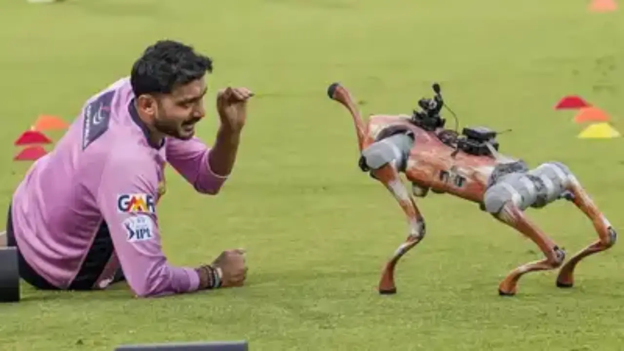 IPL 2025: Who is Champak? Meet the adorable robot dog winning hearts on the cricket field
