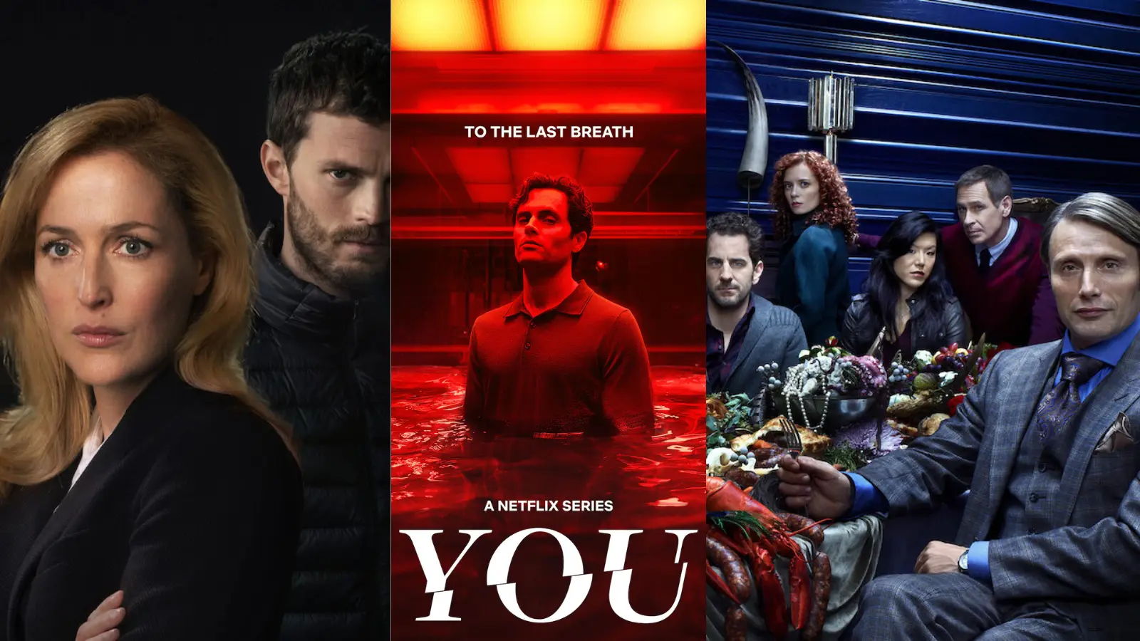 Chilling Companions: 6 Netflix Thrillers That Are Darker Than 'You'