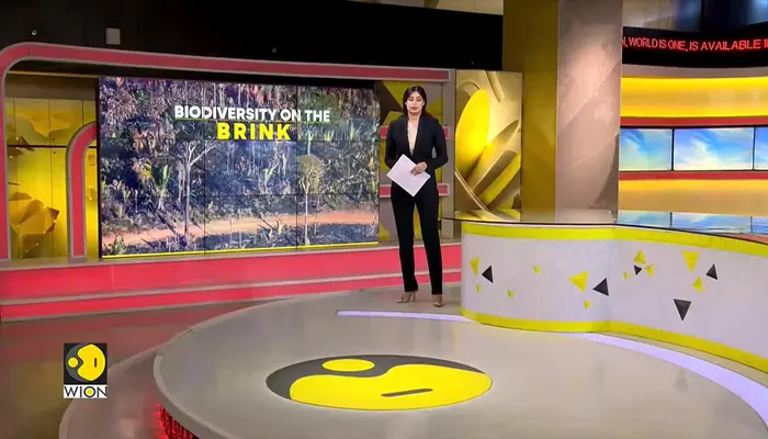 WionNews Video