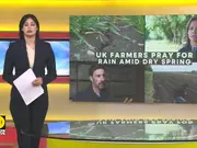Drought Fears Soar As Thousands Of UK Households Warned To ‘Use Water Wisely’ 