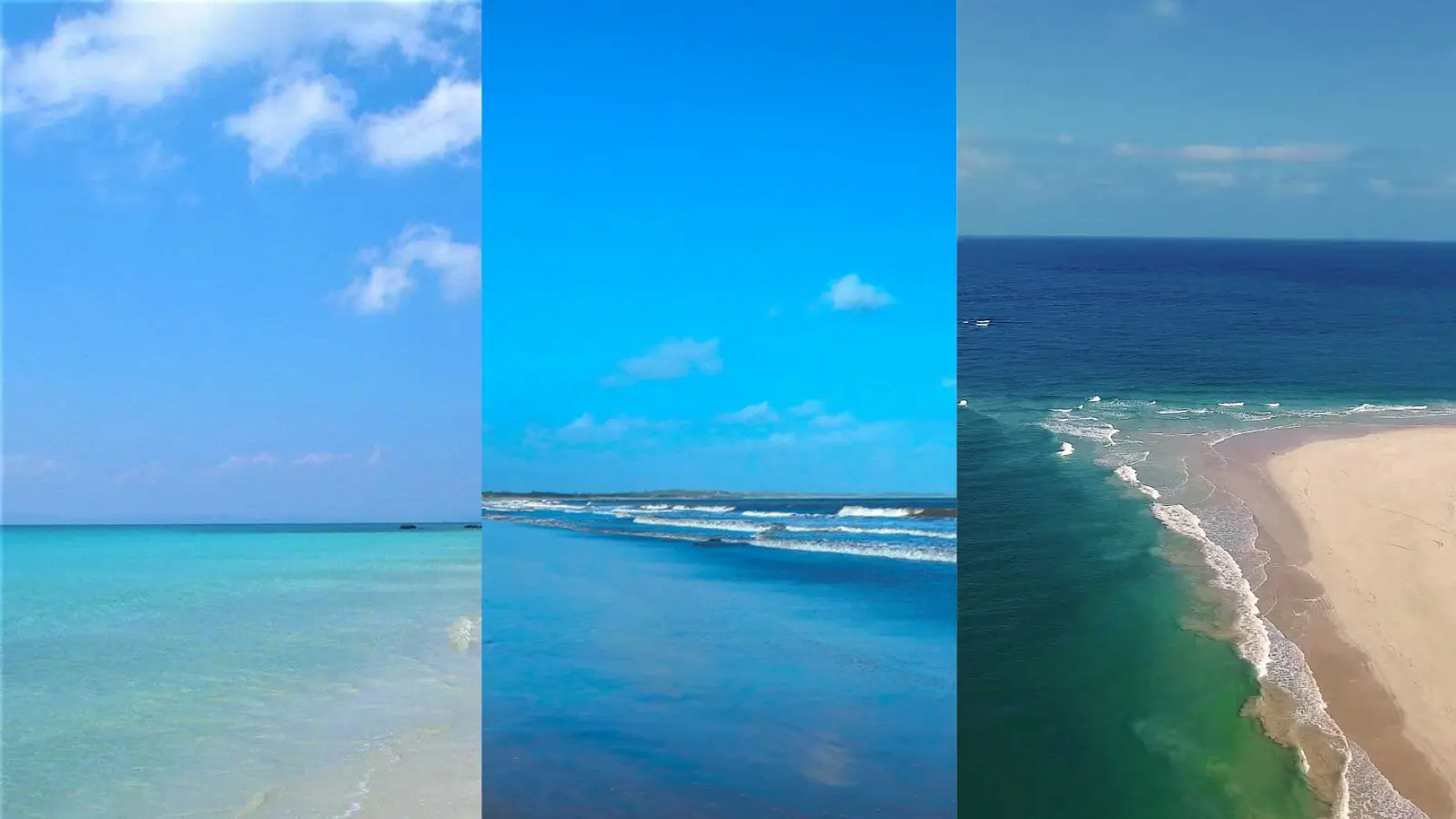 2025 Beach Bliss: 7 Exquisite Blue Flag Beaches in India You Can’t Miss
