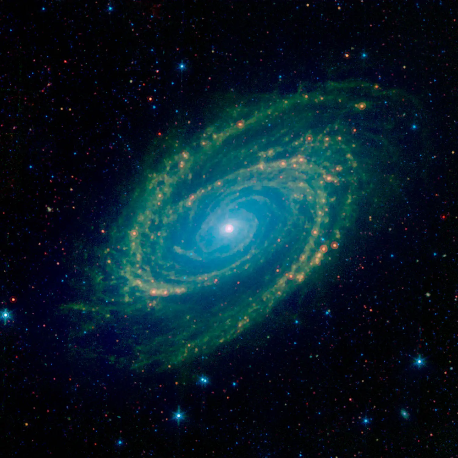 Two teams, 9,650 km apart, in race to reveal the reason for the existence of the universe