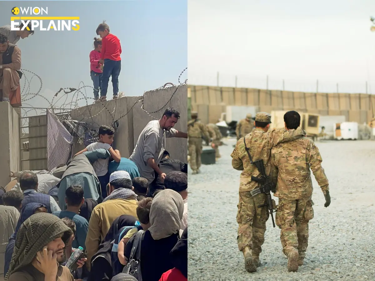 Trump admin launches review of US troops' withdrawal from Afghanistan: Timeline from 9/11 attack to end of '20-year-war' | WION Explains