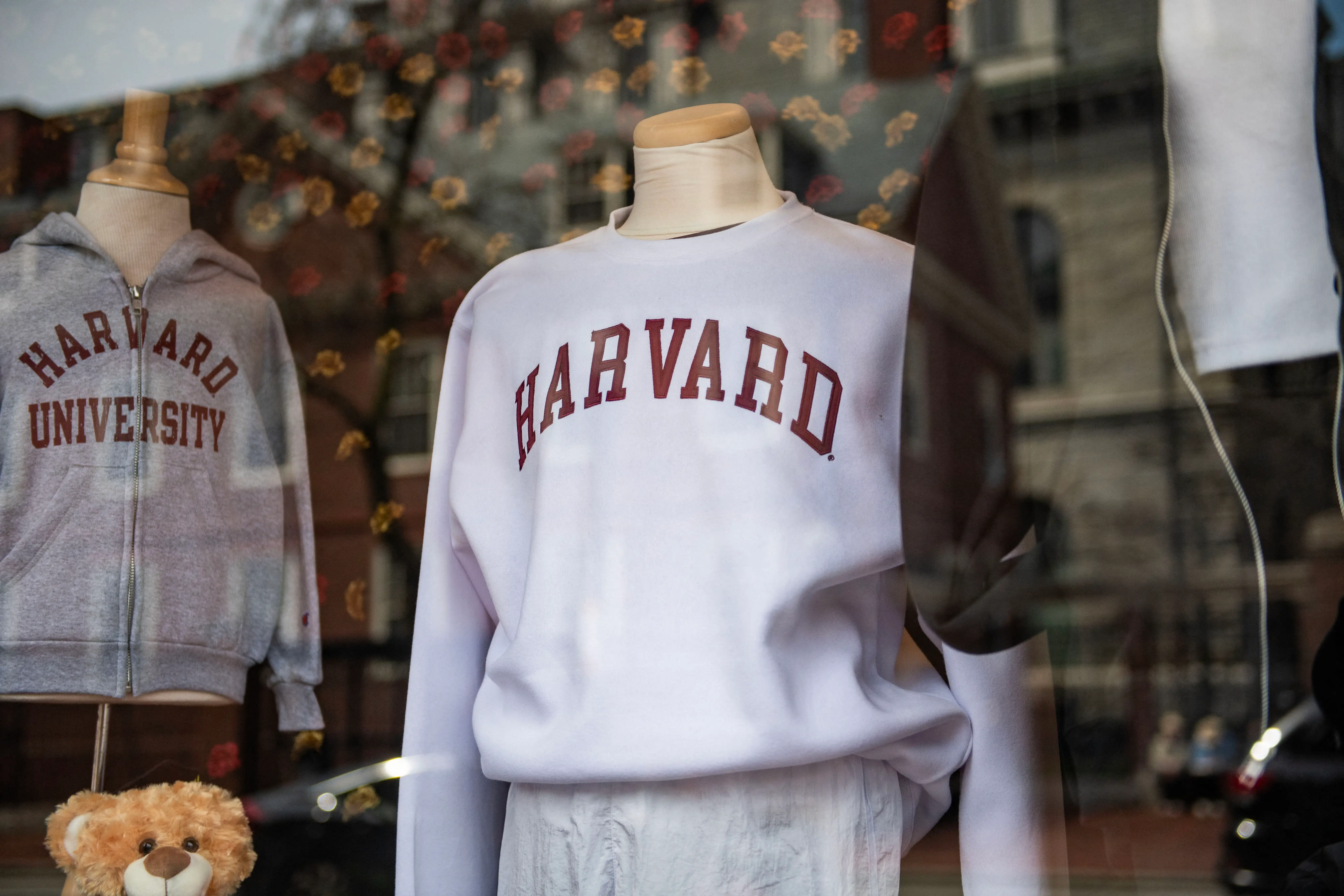 Trump signals broader crackdown on universities, targets Harvard's activism: 'Harvard will have to change its ways'