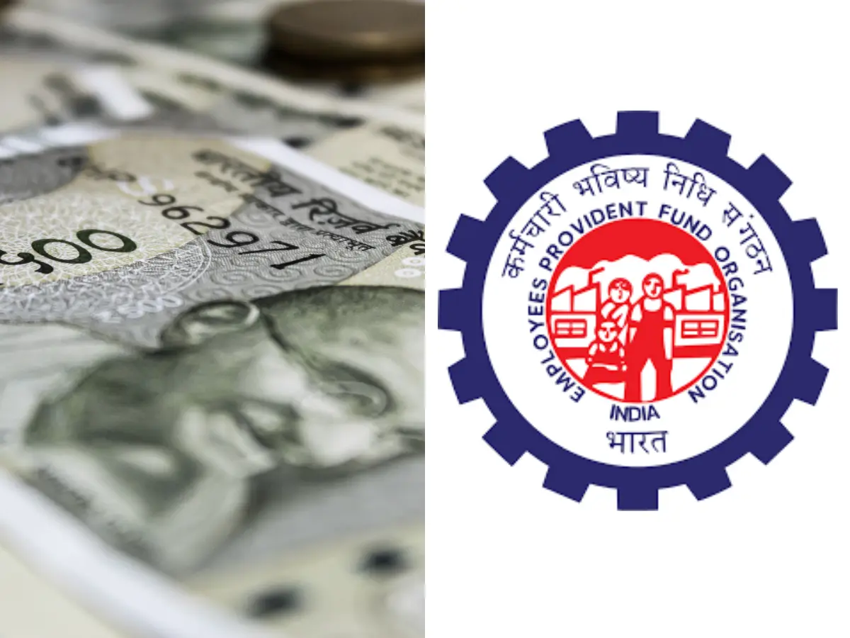 EPFO interest rate for FY25 set at 8.25%: Here's what it means for you