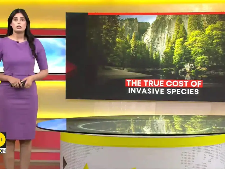 Europe faces highest economic losses from invasive species