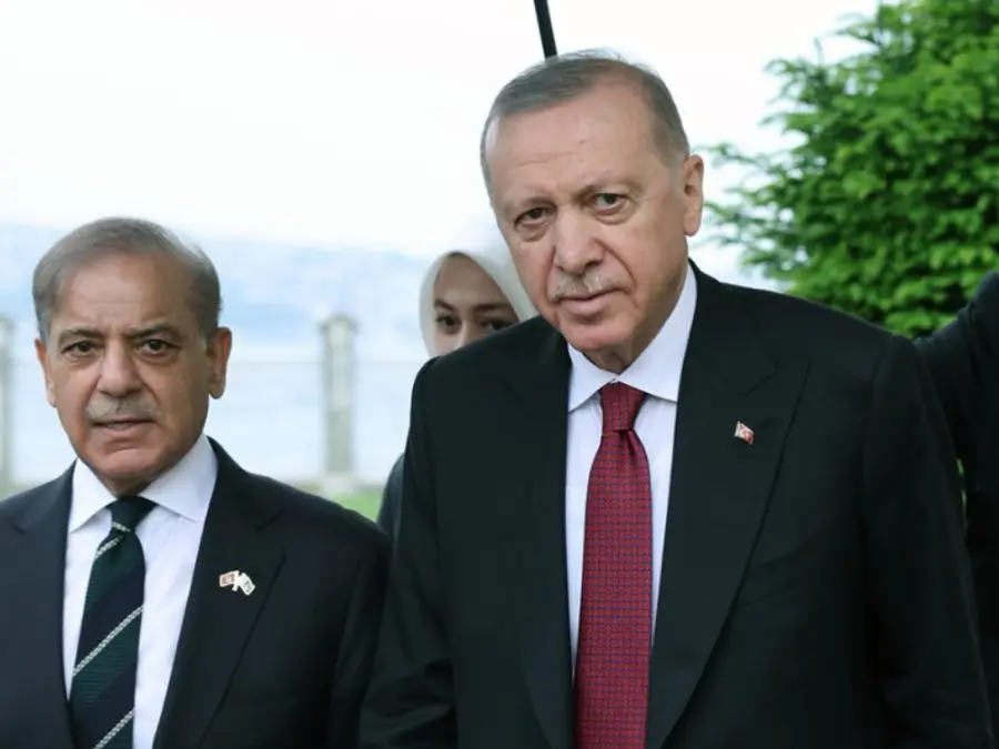 Asim Munir accompanies Pakistan PM in bilateral meet with Turkey's Erdogan, unusual move fuels speculations