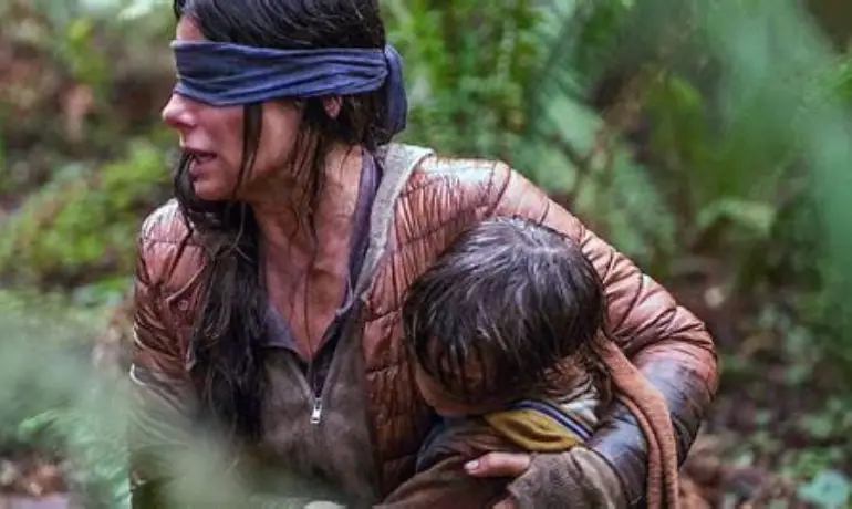 Bird Box