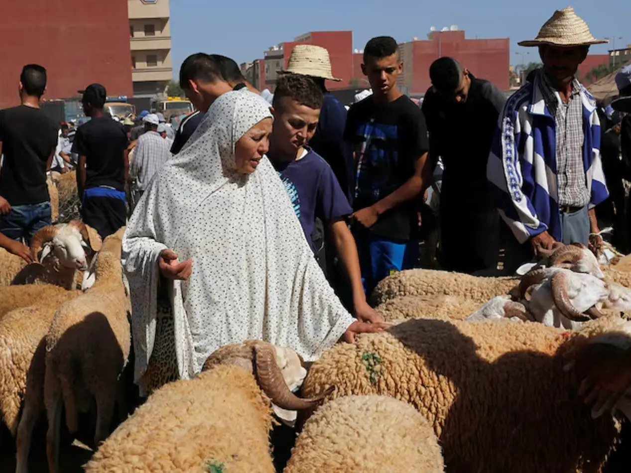 Morocco authorities seize sacrificial sheep after King bans Eid al-Adha ritual Morocco authorities seize sacrificial sheep after King bans Eid al-Adha ritual