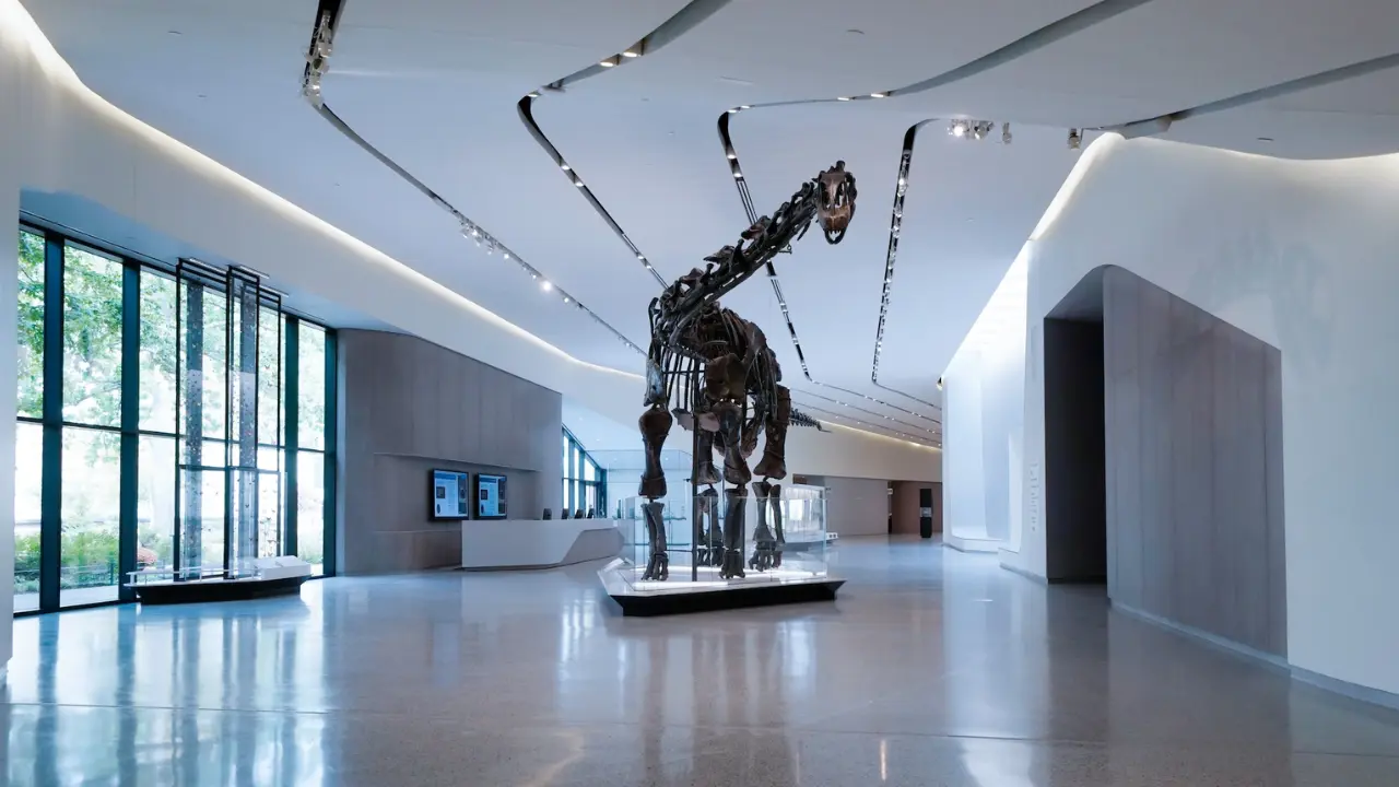Cleveland Museum of Natural History, USA