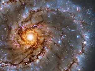 Smell, colour and more: 5 facts about the universe we bet you did not know