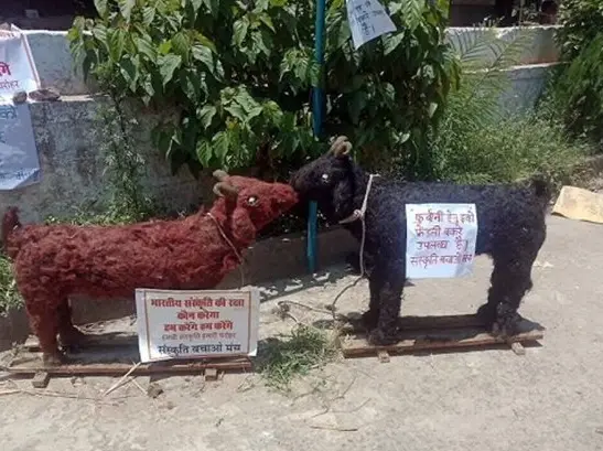 Clay goats for Eid al-Adha? This organisation is selling goats for ₹1,000 for eco-friendly Eid Clay goats for Eid al-Adha? This organisation is selling goats for ₹1,000 for eco-friendly Eid