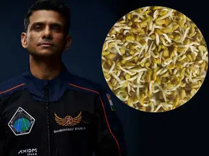 ISRO’s Shubhanshu Shukla: How he will study seed sprouting in microgravity in space