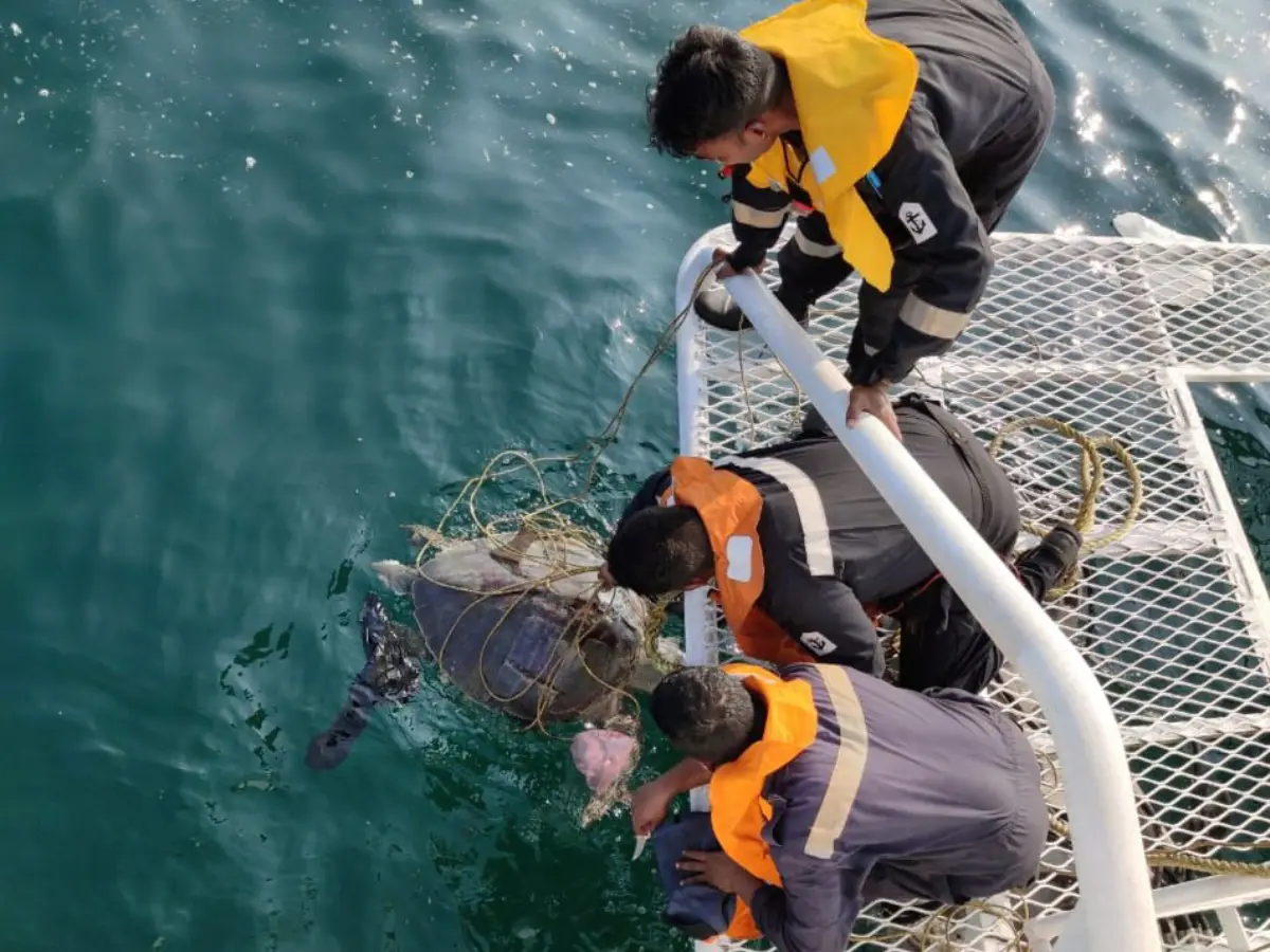Indian Coast Guard's coastal cleanup