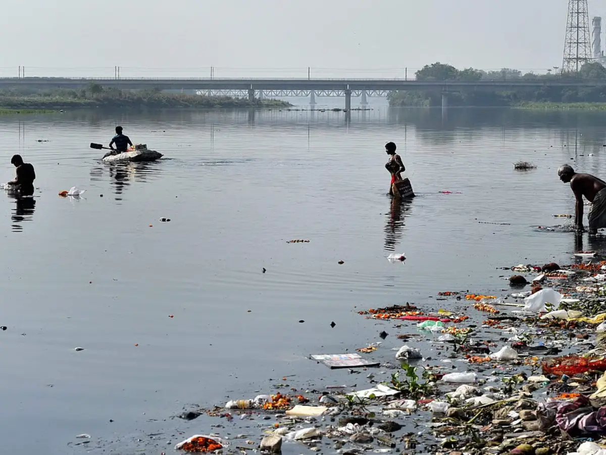 Amazon announces 400 million litre water replenishment project in Delhi’s Yamuna basin: What this means Amazon announces 400 million litre water replenishment project in Delhi’s Yamuna basin: What this means