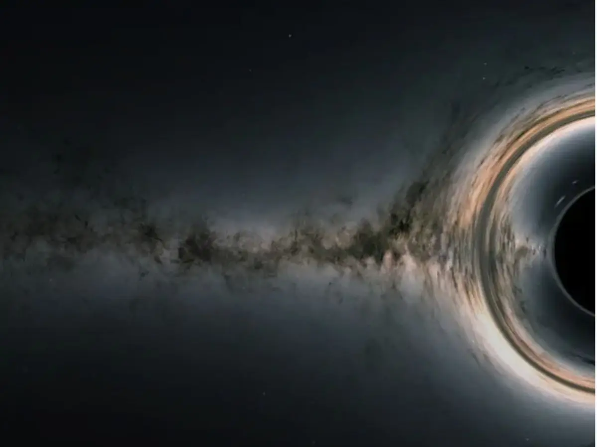 Star Meets Black Hole