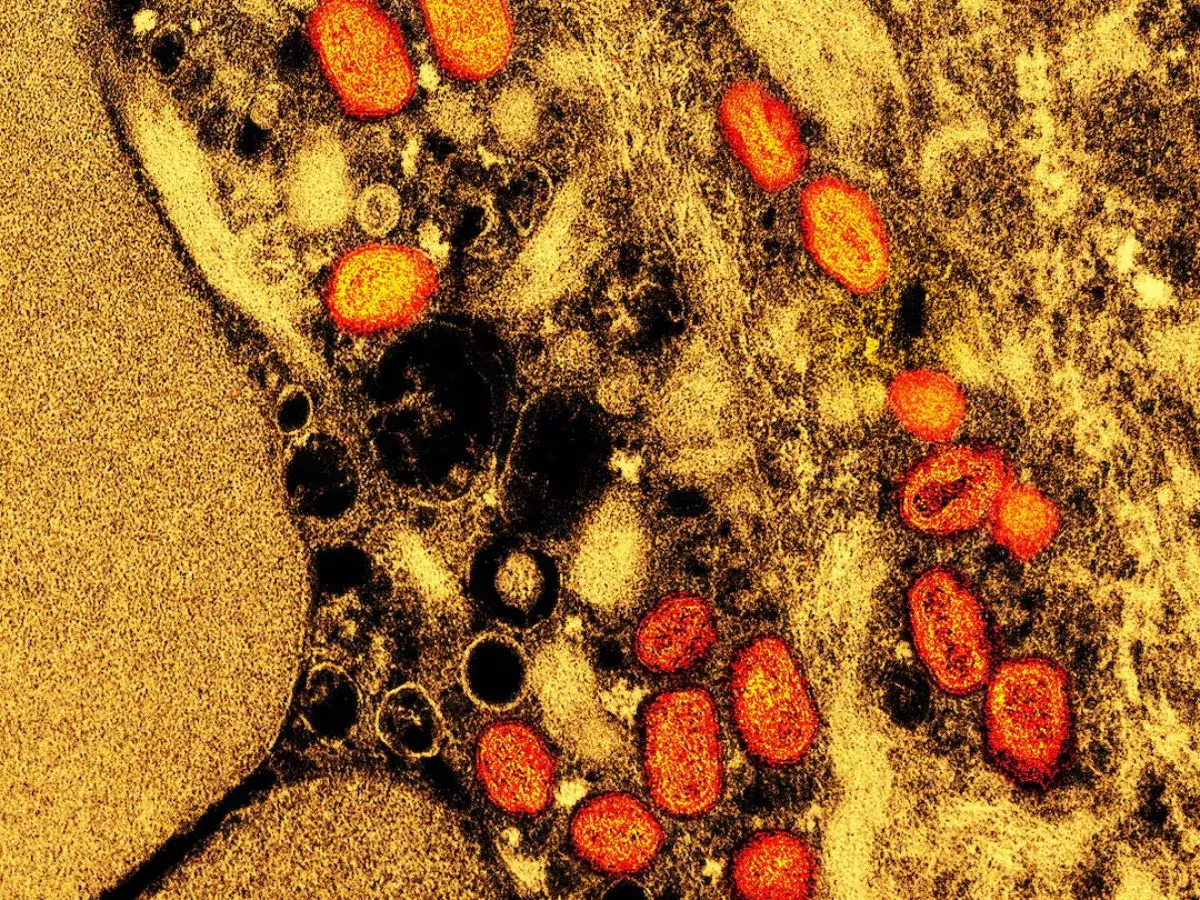 'Just one mutation away': COVID-19-like virus in China could spark outbreak, says study