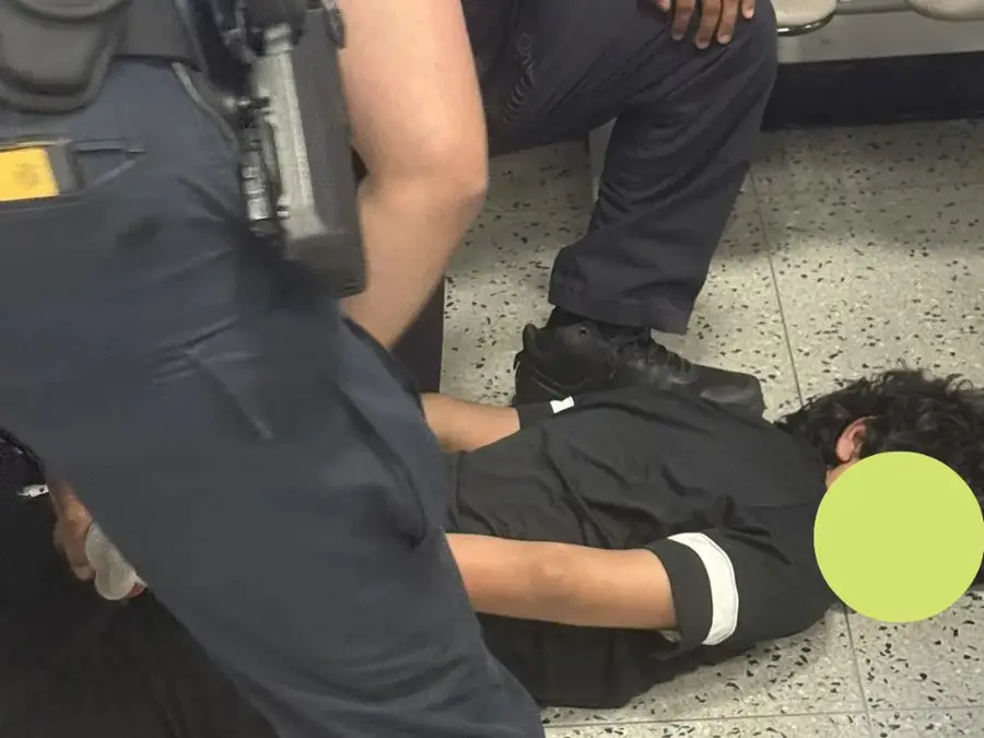 US Embassy says, 'Won't tolerate illegal entry' a day after video of Indian student handcuffed, pinned to ground at Newark airport went viral