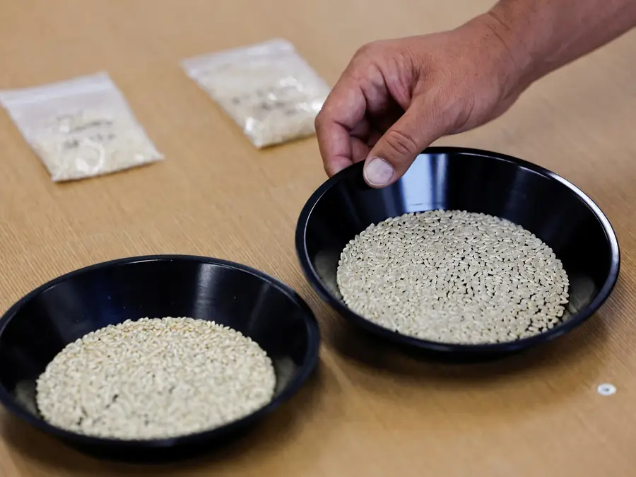 Japan's rice shortage turned into a national emergency, here's what happened