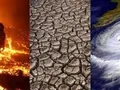 7 easy steps to combat climate change everyone can take