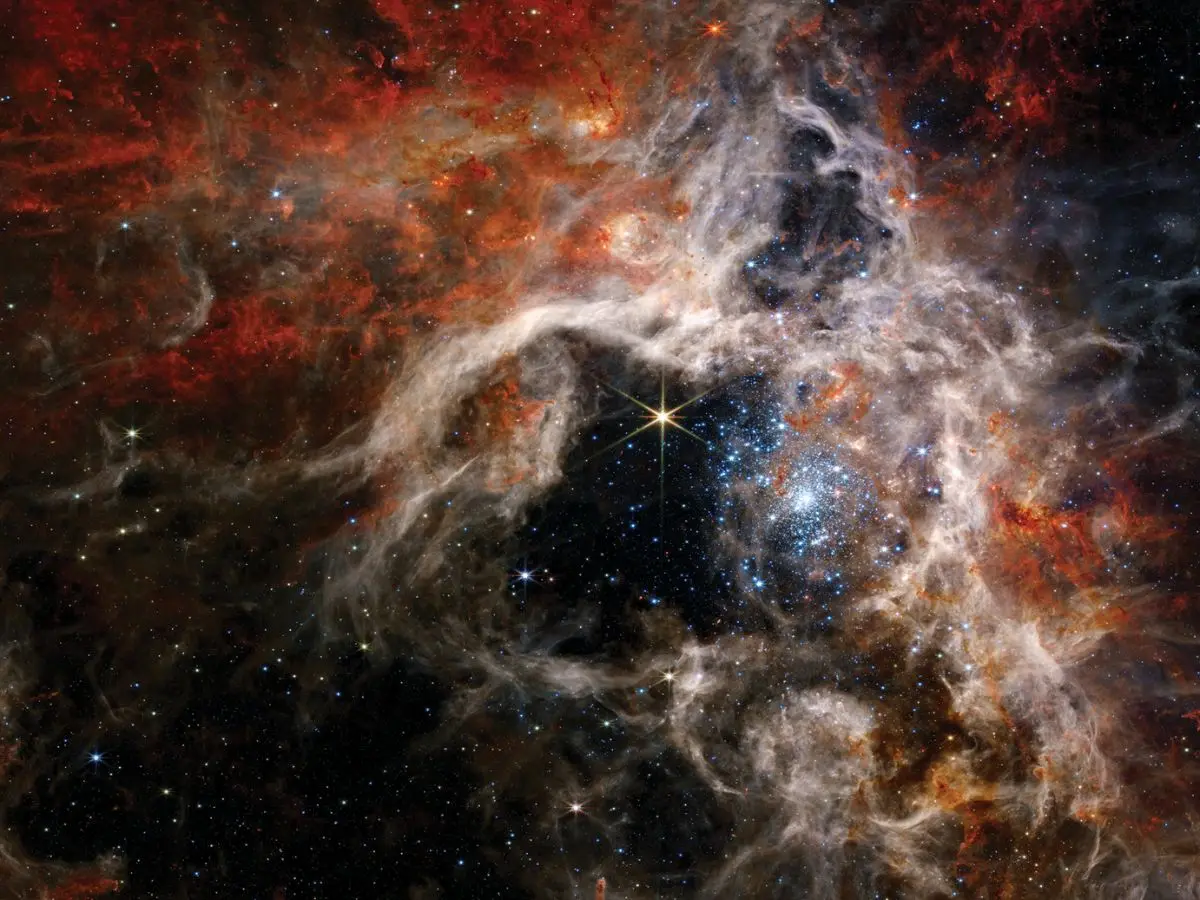 Galaxies Show Uniform Spin Direction