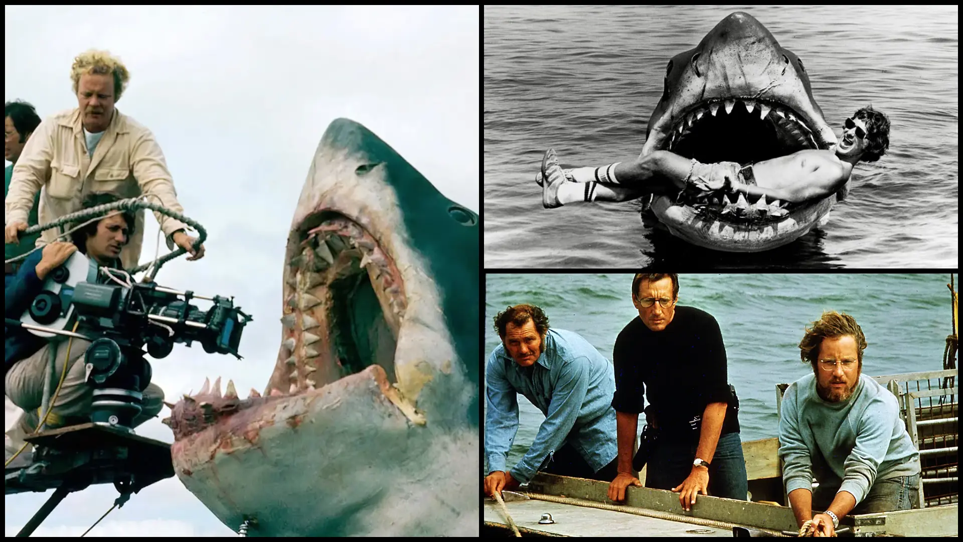 50 years of Jaws: 6 reasons Spielberg’s classic still rules the waves